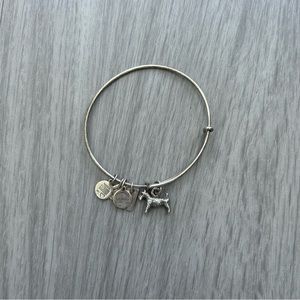 Dog monopoly piece Alex and ani bracelet
